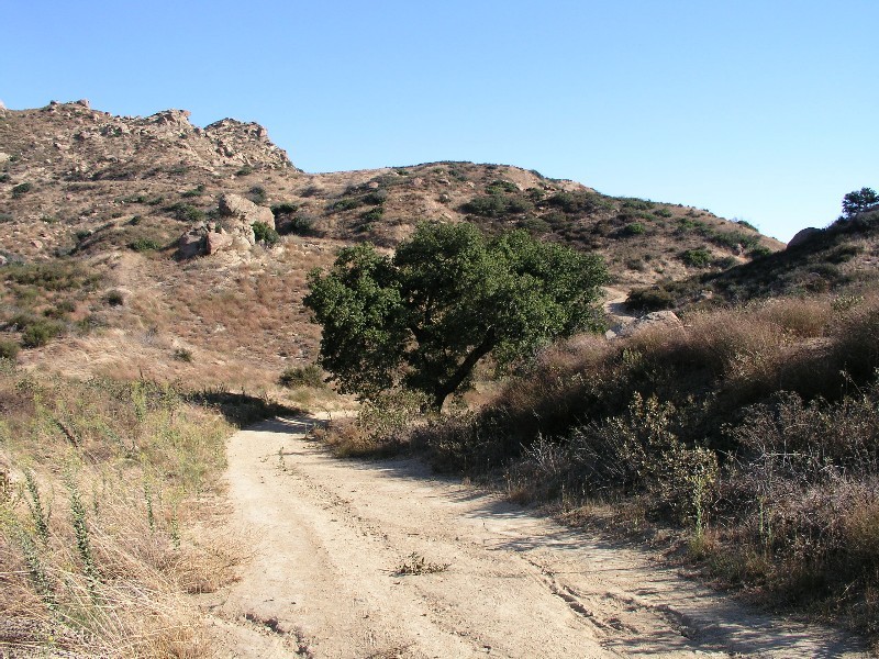 ../Images/simi-valley-hiking-19.jpg