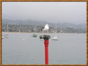 Santa Barbara Pier